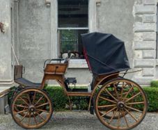 horse drawn carriage