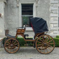 horse drawn carriage