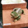 Iguana Decorative Trinket Box Image 4