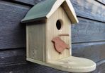 bird feeder