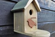 bird feeder