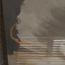 Wall Art x 2. Unopened Image 4