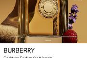 BURBeRRY GODDESS 100ml pure parfum for her