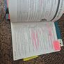 IELTS bundle Image 2