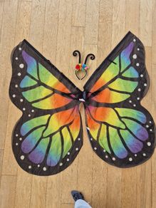 Beautiful Butterfly Costume