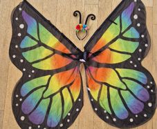 Beautiful Butterfly Costume