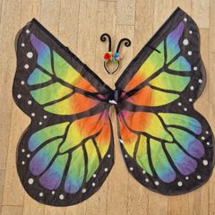 Beautiful Butterfly Costume
