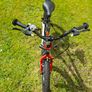 Chipmunk Bike Image 2
