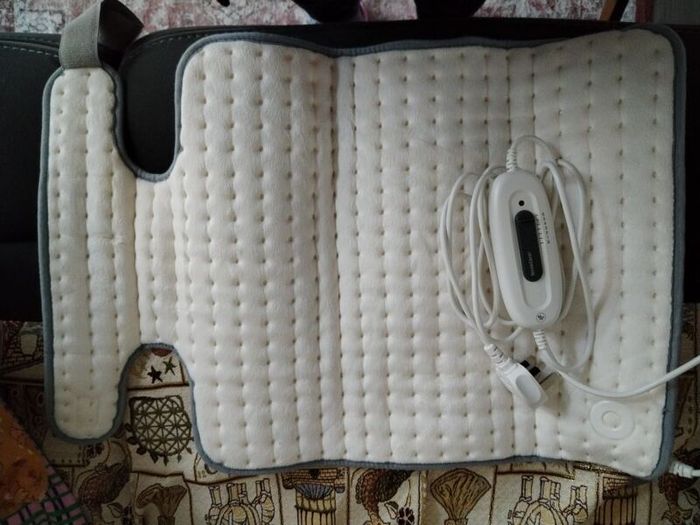 Electric heater for back