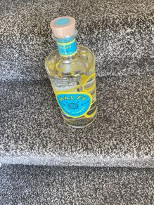 Gin