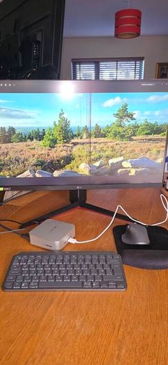 LG faulty monitor