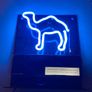 Camel Neon sign Year 2005 American Image 5