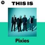 Pixies ticket Image 2