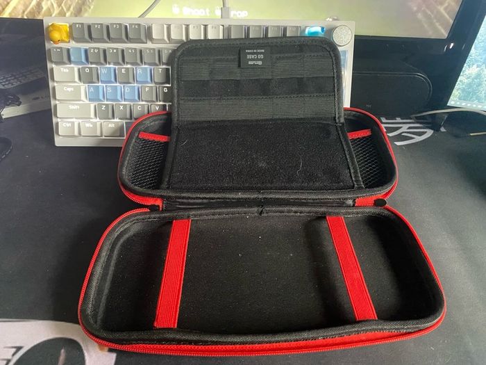 nintendo case 1
