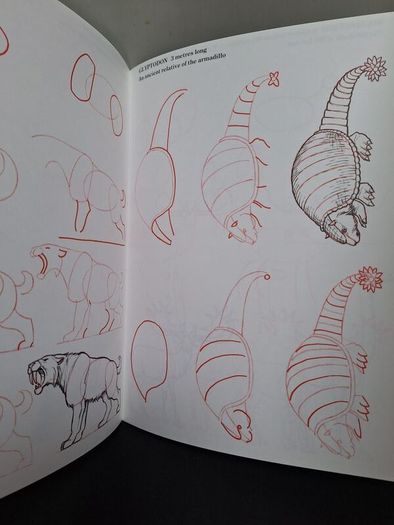 SALE! Set of 4 DRAW 50 drawing books: Dinosaurs, Flowers, Animals and Endangered Animals