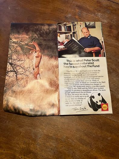Vintage Shell WWF Shell Wild Animal Cards