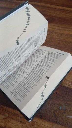English Dictionary by Ian Brookes - mini edition