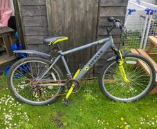 mens bike