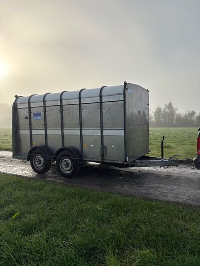 12x6 ifor Williams cattle trailer