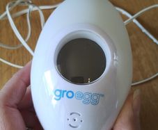 Groegg Room Thermometer