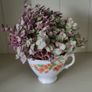 Vety cute Tradescantia Callisia repens.House plant Image 2