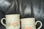 Peach and Sage Green 'Geranium' 2 Cups
