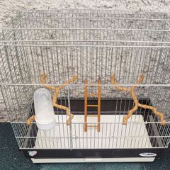 bird cage