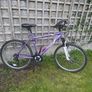 bike Image 3