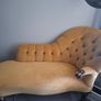 Chaise Lounge.. to go asap Image 2