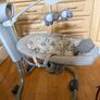 Joie Serina Swivel Baby Swing Elephant Duo Image 4
