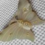 Mother of pearl brooch Image 3