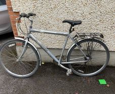 Adult Bike