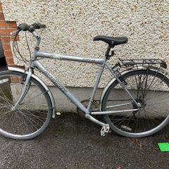 Adult Bike