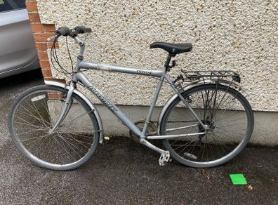 Adult Bike