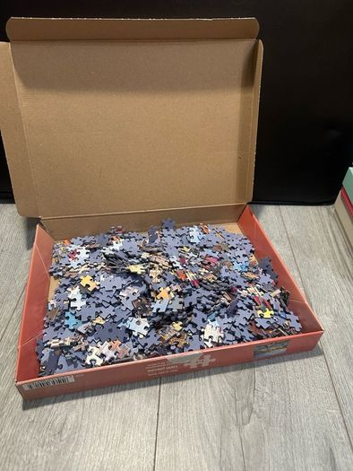 Jigsaw Puzzle 1000pc