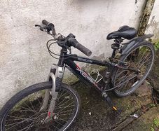 Apollo Xc.60 S ladies mountain bike