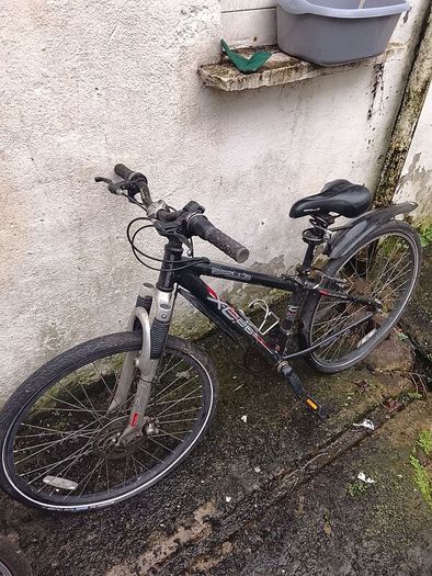 Apollo Xc.60 S ladies mountain bike