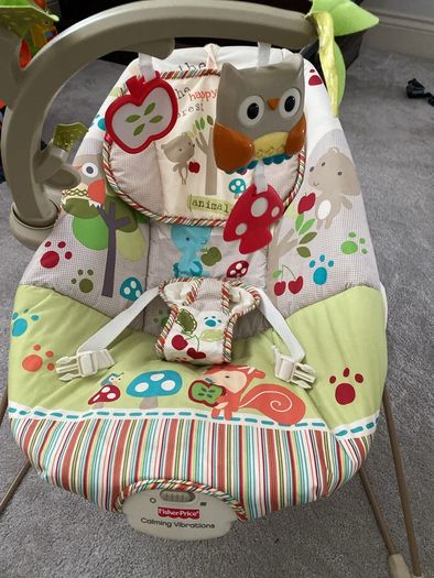 Free - Fisher Price Baby Bouncer