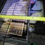 XXL  guinea pig & rabbit cage Image 9
