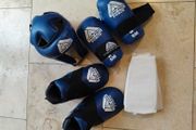 tae Kwon-Do Sparring gear