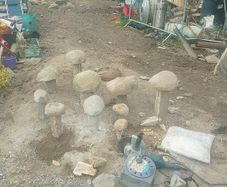 Granite mushrooms