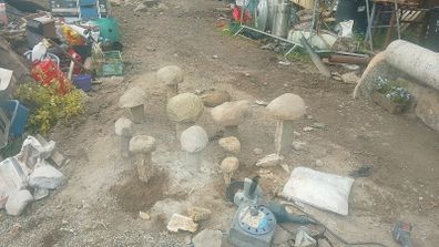 Granite mushrooms