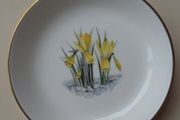 Royal Worcester China, Trinket dish, Daffodils design, Ceramics, Trinket dish,