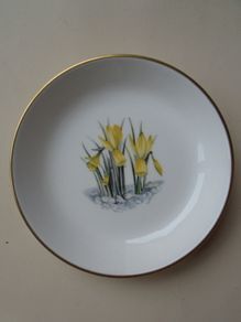Royal Worcester China, Trinket dish, Daffodils design, Ceramics, Trinket dish,