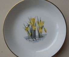 Royal Worcester China, Trinket dish, Daffodils design, Ceramics, Trinket dish,