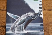Norfolk Island Phonecard AUD10 "Humpback Whale Breaching", used, 1995 - free standard postage