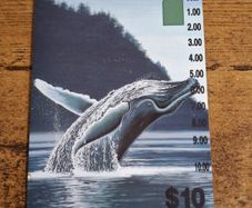 Norfolk Island Phonecard AUD10 "Humpback Whale Breaching", used, 1995 - free standard postage