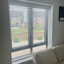 White Venetian Blinds (x7) Image 4