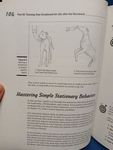Retired Racing Greyhounds for Dummies