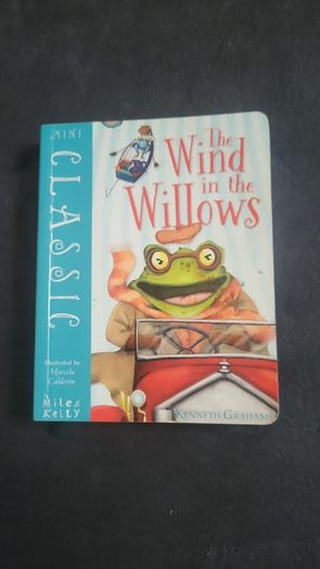 pair of childrens story books